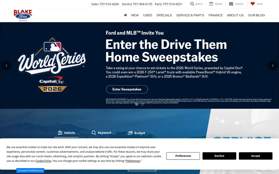 Blake Ford website