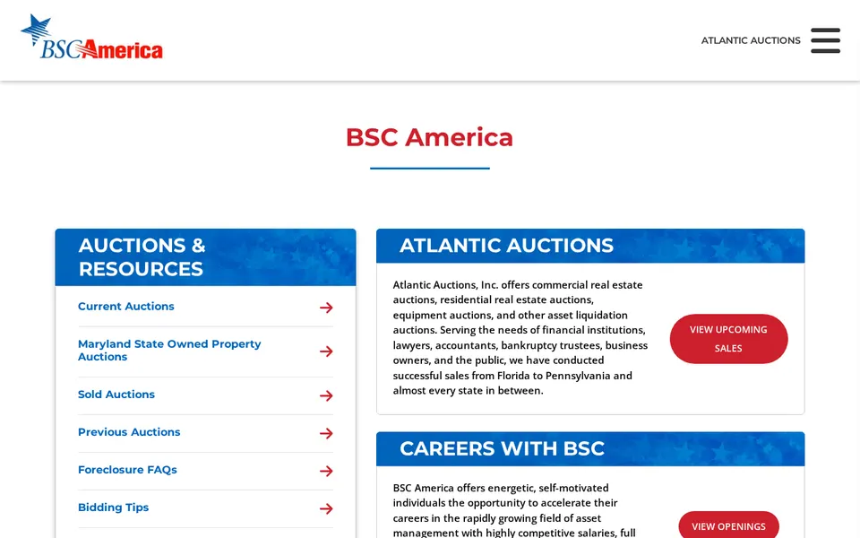 BSC America Tallahassee Auto Auction website